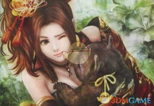 《战国无双4 DX》甲斐姫秘武入手条件介绍