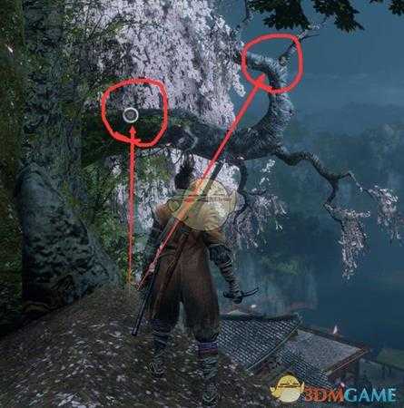 《只狼：影逝二度》鱼王位置分享 喂鱼点详细走法