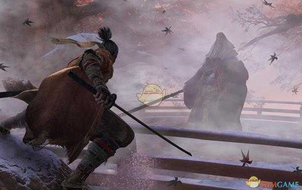 《只狼：影逝二度》有哪些地图？纵横苇名成就解锁指南