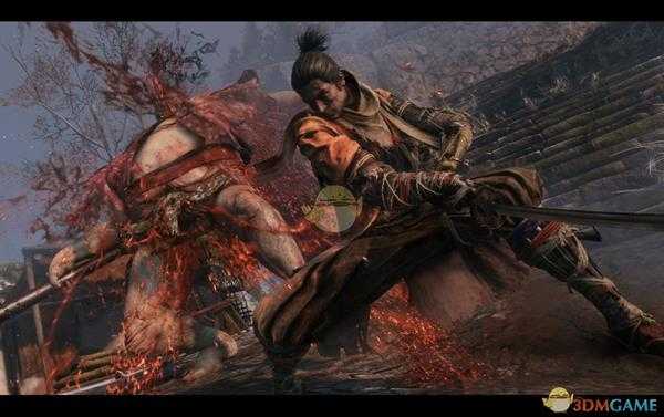 《只狼：影逝二度》敌人强度分类说明