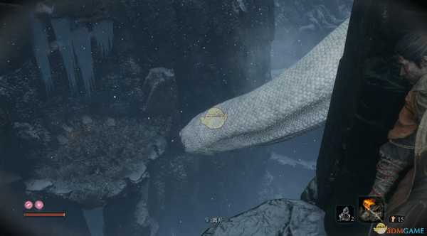 《只狼：影逝二度》幻影神针获得方法分享