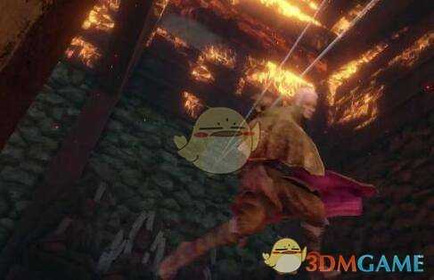 《只狼:影逝二度》特效药(香)技能效果介绍