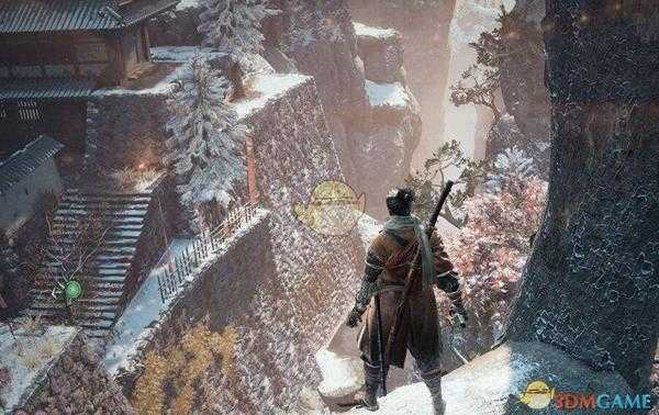 《只狼：影逝二度》水生村发生了什么？水生村剧情解析