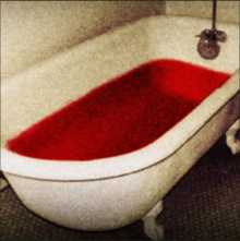 《脑叶公司》T-05-51 血浴缸详细介绍