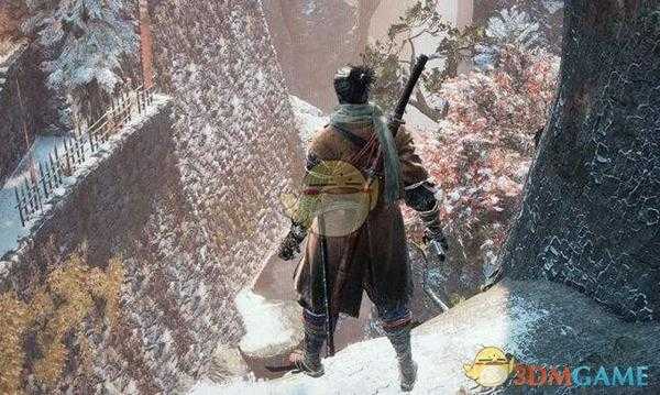 《只狼:影逝二度》不死的半兵卫支线剧情详解