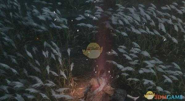 《只狼：影逝二度》樱龙之泪描述一览