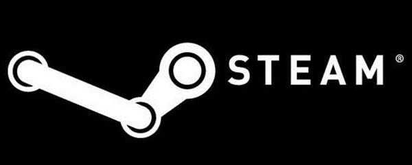 steam只能电脑玩吗