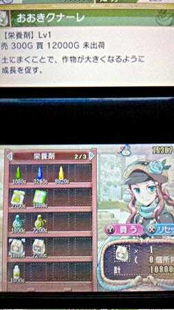 《符文工房4》大型作物的种植方法