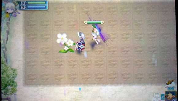 《符文工房4》大型作物的种植方法