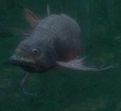 《只狼：影逝二度》淤加美族敌兵种类介绍