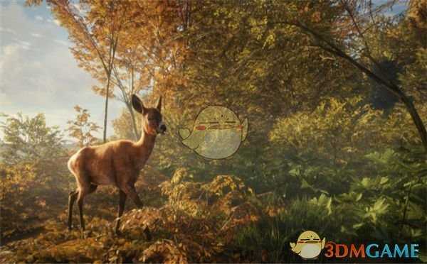 《猎人:荒野的呼唤》步枪配合主动技能推荐