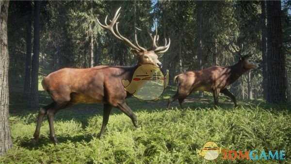 《猎人:荒野的呼唤》霰弹枪弹药详解