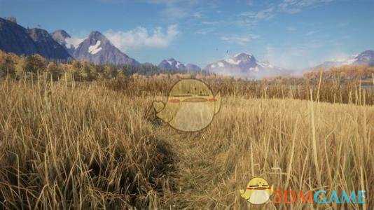 《猎人:荒野的呼唤》步枪弹药详解