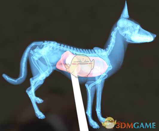 《猎人：荒野的呼唤》赤狐＆郊狼＆欧亚猞猁步枪速杀攻略