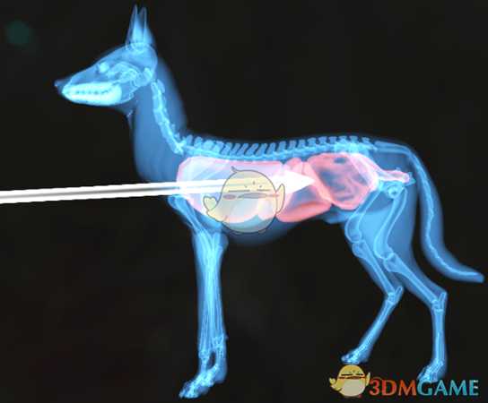 《猎人：荒野的呼唤》赤狐＆郊狼＆欧亚猞猁步枪速杀攻略