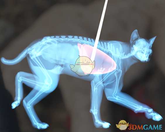 《猎人：荒野的呼唤》赤狐＆郊狼＆欧亚猞猁步枪速杀攻略