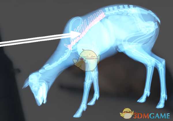 《猎人：荒野的呼唤》西伯利亚原麝＆狍鹿步枪速杀攻略