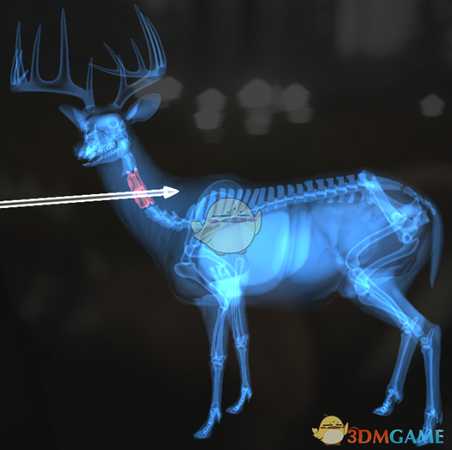 《猎人:荒野的呼唤》黄鹿&黑尾鹿&白尾鹿步枪速杀攻略