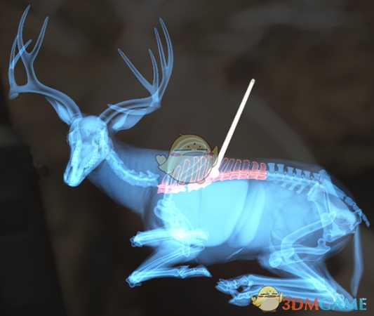 《猎人:荒野的呼唤》黄鹿&黑尾鹿&白尾鹿步枪速杀攻略