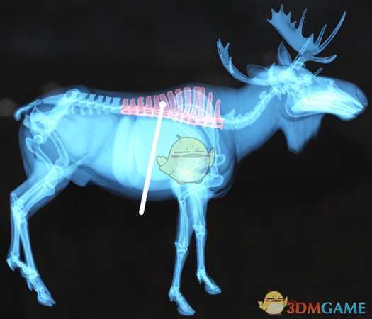 《猎人:荒野的呼唤》罗斯福麋鹿&驼鹿步枪速杀攻略