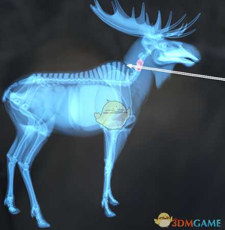 《猎人:荒野的呼唤》罗斯福麋鹿&驼鹿步枪速杀攻略