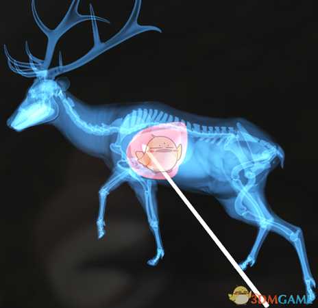 《猎人:荒野的呼唤》罗斯福麋鹿&驼鹿步枪速杀攻略