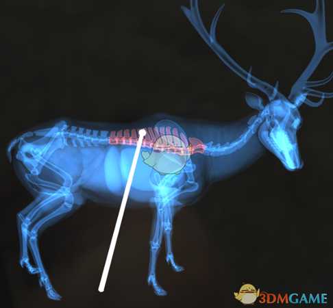 《猎人:荒野的呼唤》罗斯福麋鹿&驼鹿步枪速杀攻略