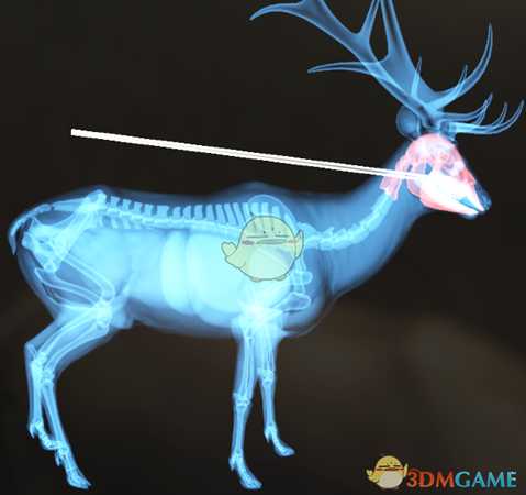 《猎人:荒野的呼唤》罗斯福麋鹿&驼鹿步枪速杀攻略