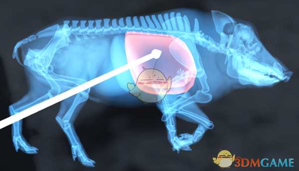 《猎人：荒野的呼唤》野猪步枪速杀攻略