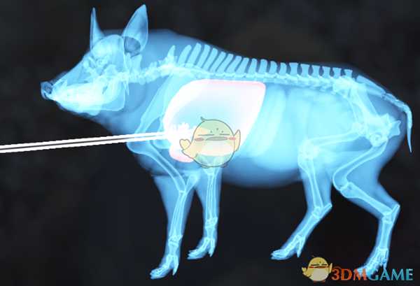 《猎人：荒野的呼唤》野猪步枪速杀攻略