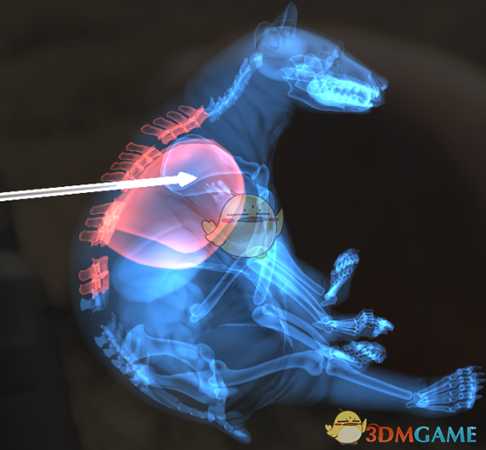 《猎人：荒野的呼唤》美洲黑熊＆棕熊步枪速杀攻略