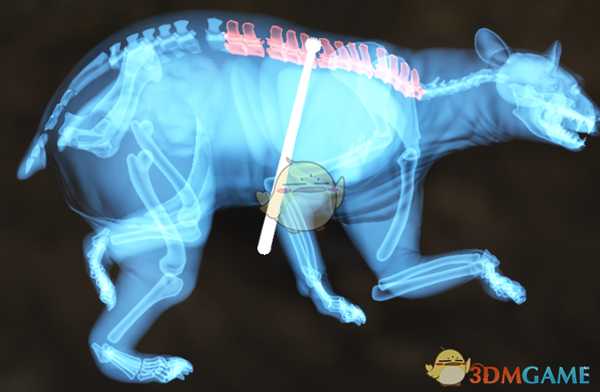 《猎人：荒野的呼唤》美洲黑熊＆棕熊步枪速杀攻略