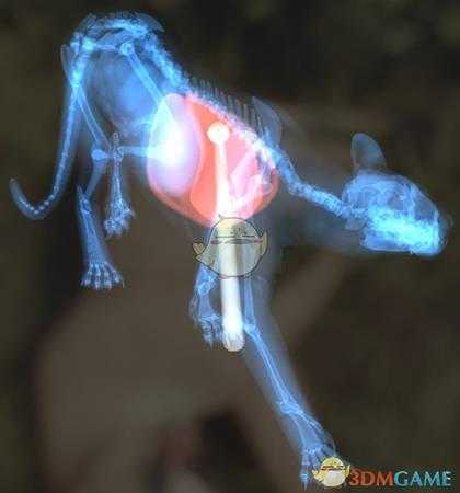 《猎人：荒野的呼唤》美洲狮步枪速杀攻略