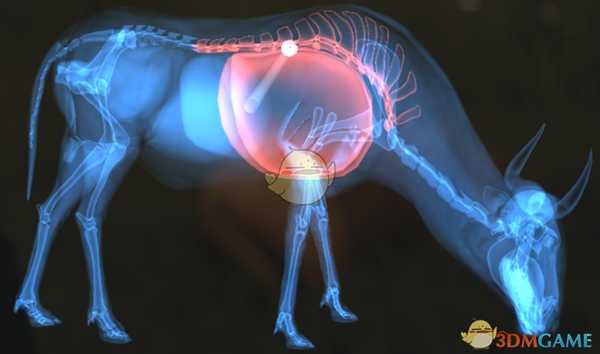 《猎人:荒野的呼唤》蓝角马步枪速杀攻略