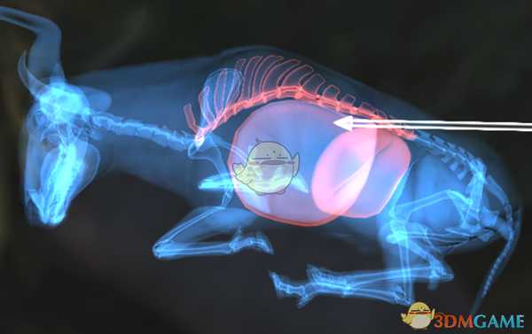 《猎人:荒野的呼唤》蓝角马步枪速杀攻略