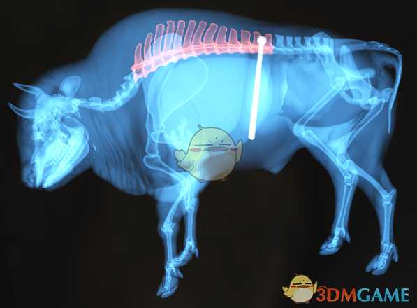 《猎人：荒野的呼唤》欧洲野牛＆水牛步枪速杀攻略
