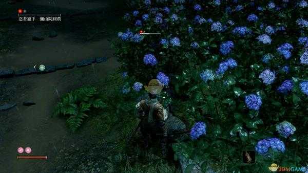 《只狼：影逝二度》鳗鱼胆详细作用效果分享