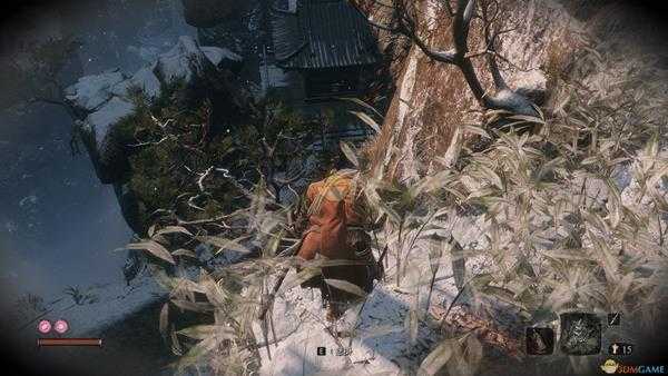 《只狼：影逝二度》沉重钱袋描述介绍