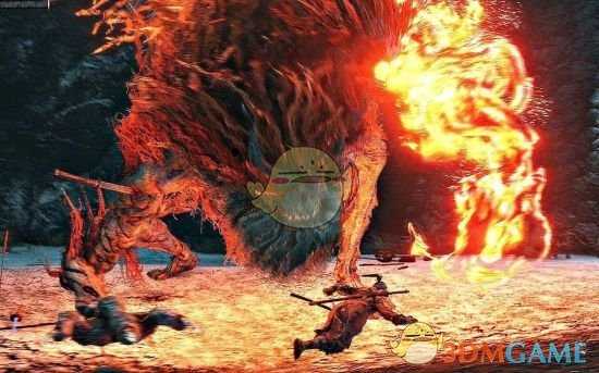 《只狼:影逝二度》金刚屑作用分析