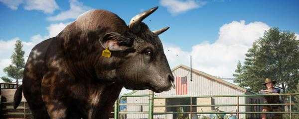 孤岛惊魂5副作用