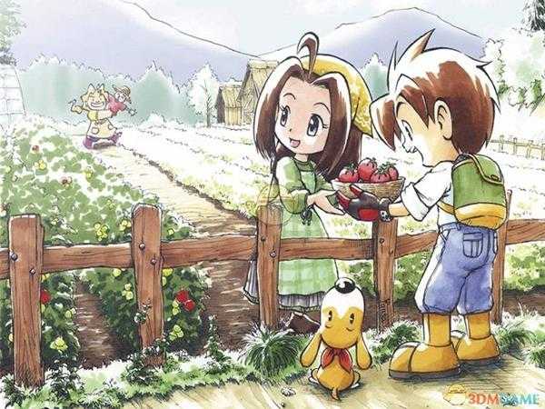 《牧场物语：矿石镇的伙伴们》全地点环境介绍