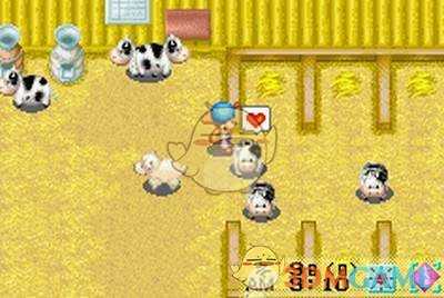 《牧场物语：矿石镇的伙伴们》全工具作用介绍