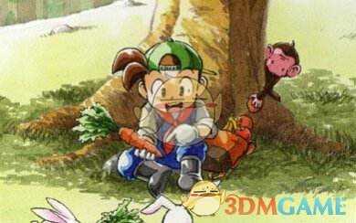 《牧场物语：矿石镇的伙伴们》和卡莲结婚方法