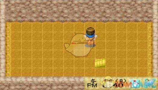 《牧场物语：矿石镇的伙伴们》春之太阳作用介绍