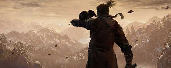 只狼怨恨之鬼杀不死