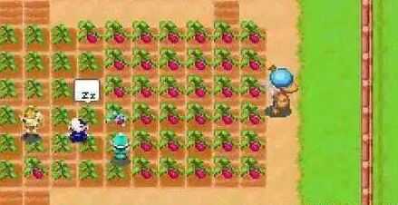 《牧场物语：矿石镇的伙伴们》海之别墅获得方法介绍