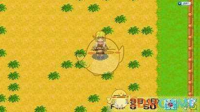 《牧场物语：矿石镇的伙伴们》全别墅获得方法介绍