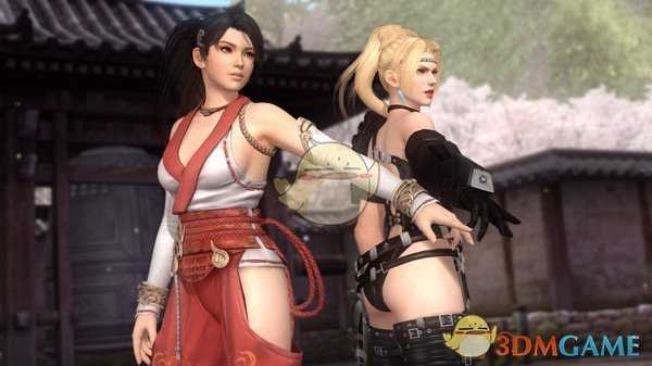 《死或生5：最后一战》米拉基础连招分享