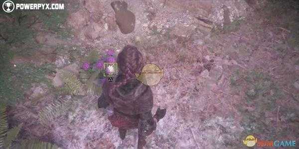 《瘟疫传说：无罪》第十一章活着全收集品位置指南