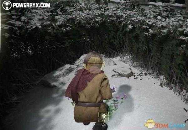 《瘟疫传说：无罪》第十四章血脉之亲全收集品位置指南